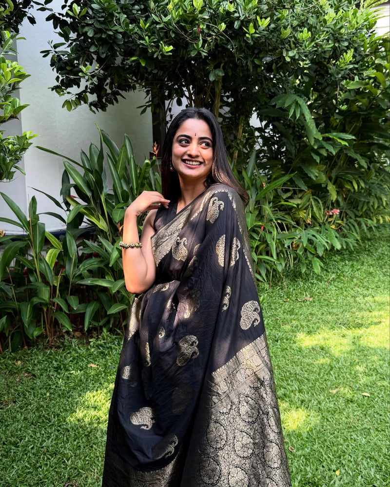 Luxury Black Jacquard Saree 