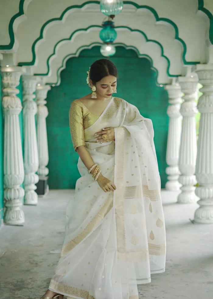White Jacquard Saree – Timeless Elegance in Classic Pure White