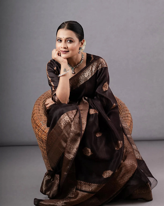 Classic Brown Jacquard Saree – Elegant Woven Saree for Weddings & Festive Celebrations