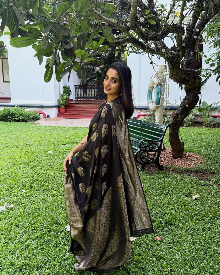 Luxury Black Jacquard Saree for Festive & Party Wear Elegance