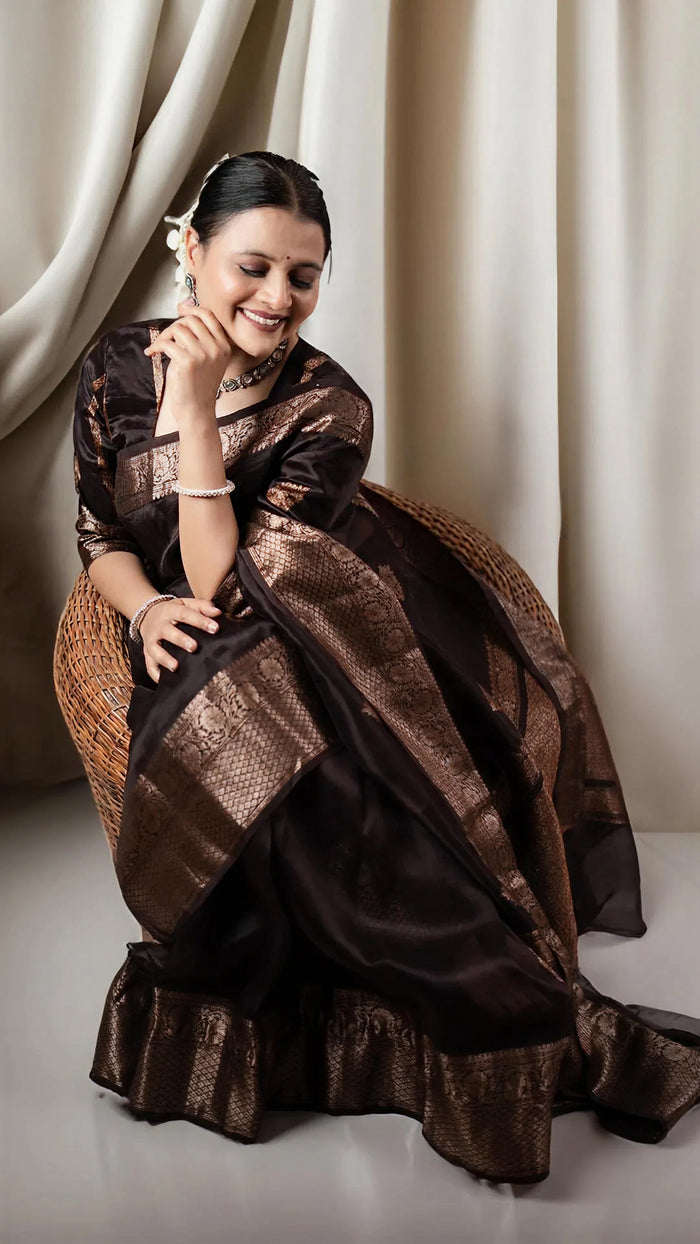 Classic Brown Jacquard Saree – Elegant Woven Saree for Weddings & Festive Celebrations