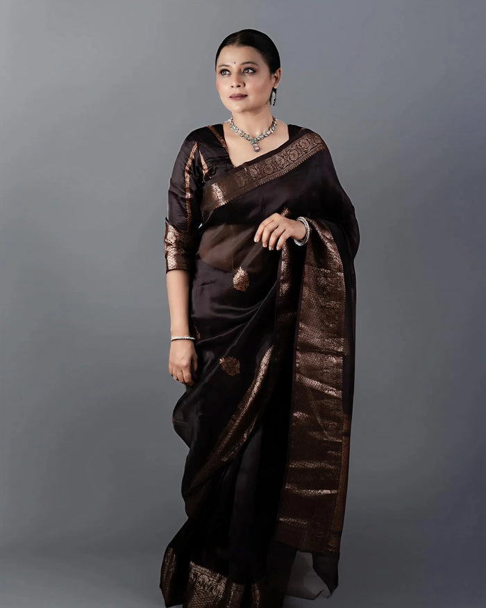 Classic Brown Jacquard Saree – Elegant Woven Saree for Weddings & Festive Celebrations