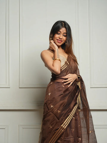 pure silk Classy Brown Colour Saree, Shining Party Wear