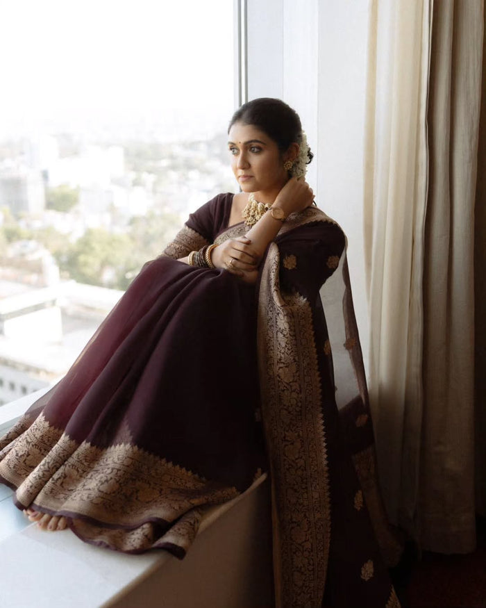 Elegant Maroon Jacquard Saree with Rich Woven Detailing