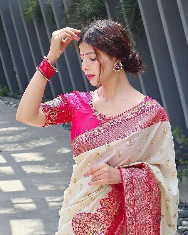 Kanjeevaram Saree with Contrast Border - Ibis Fab