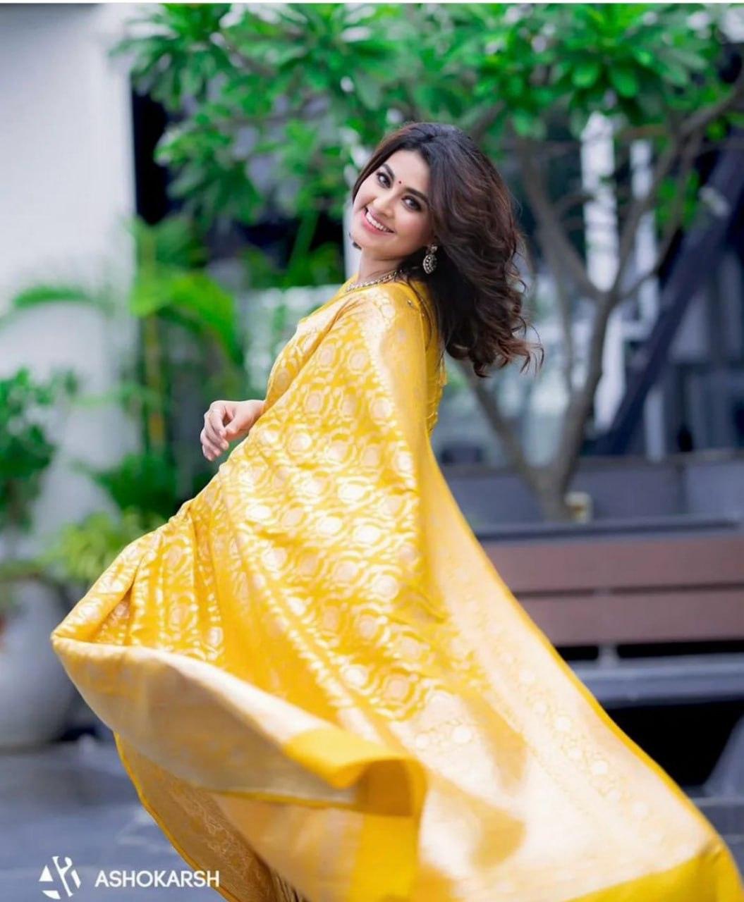 Beautiful Zari Work In the Form Of Traditional Motifs Beautiful Saree - Ibis Fab