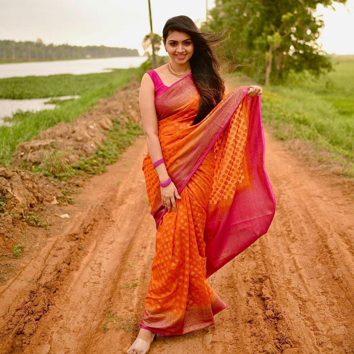 Contrast Border Banarasi Pure Silk Saree