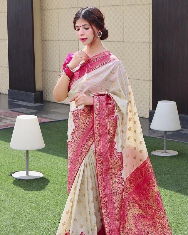 Kanjeevaram Saree with Contrast Border - Ibis Fab