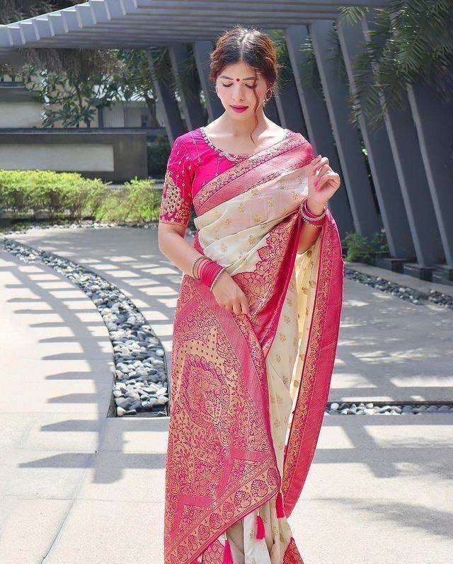 Kanjeevaram Saree with Contrast Border - Ibis Fab