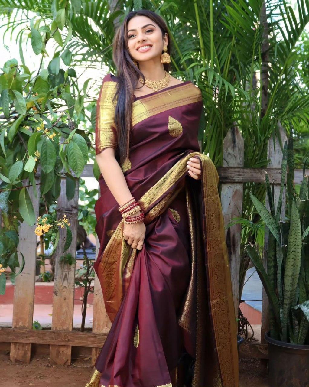 Wine Banarasi Soft Silk Saree - Ibis Fab