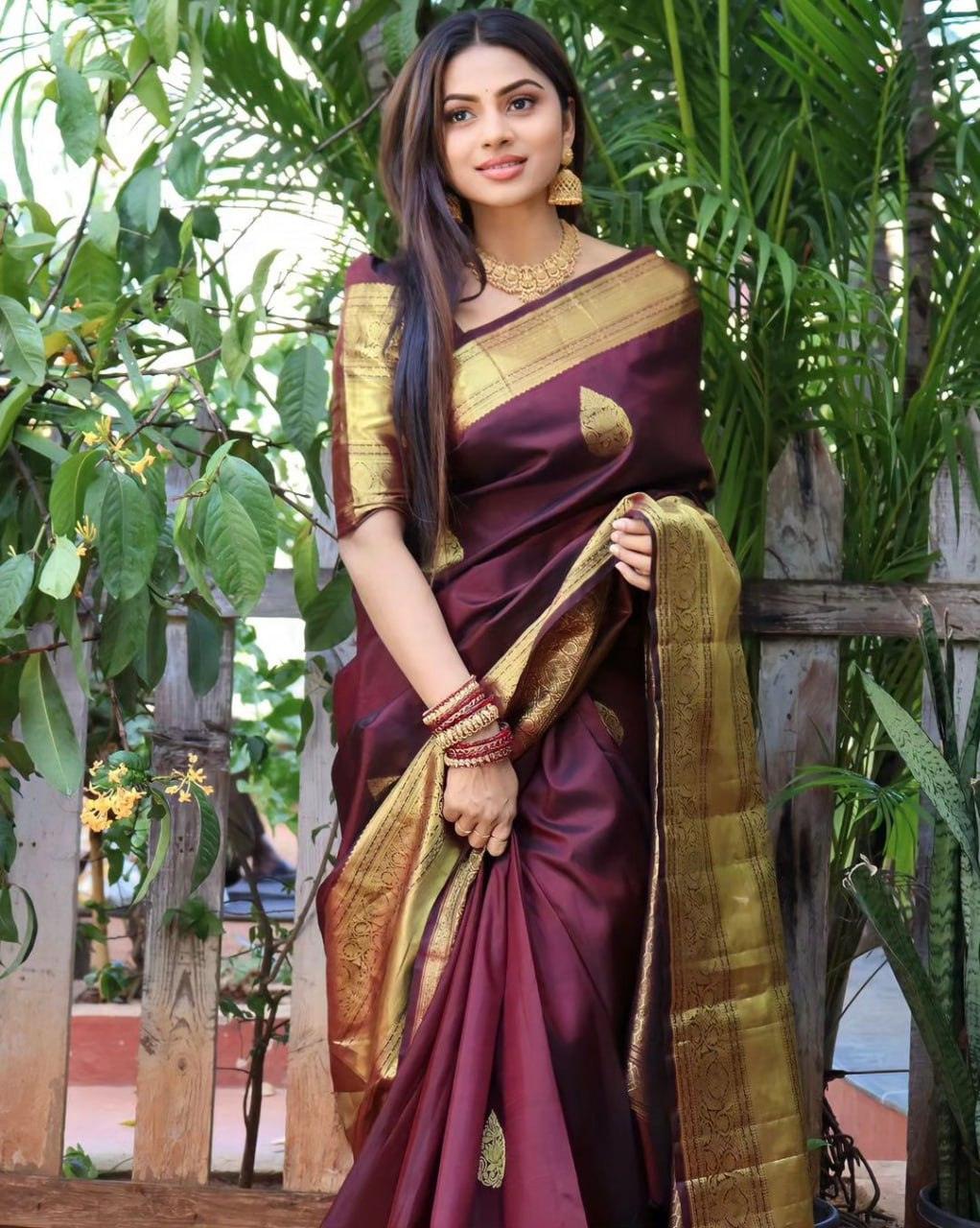 Wine Banarasi Soft Silk Saree - Ibis Fab