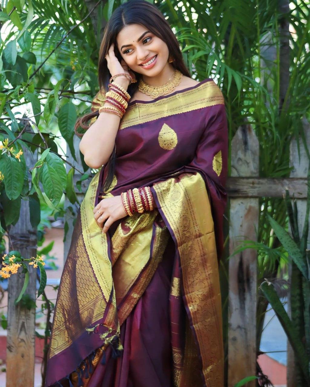 Wine Banarasi Soft Silk Saree - Ibis Fab