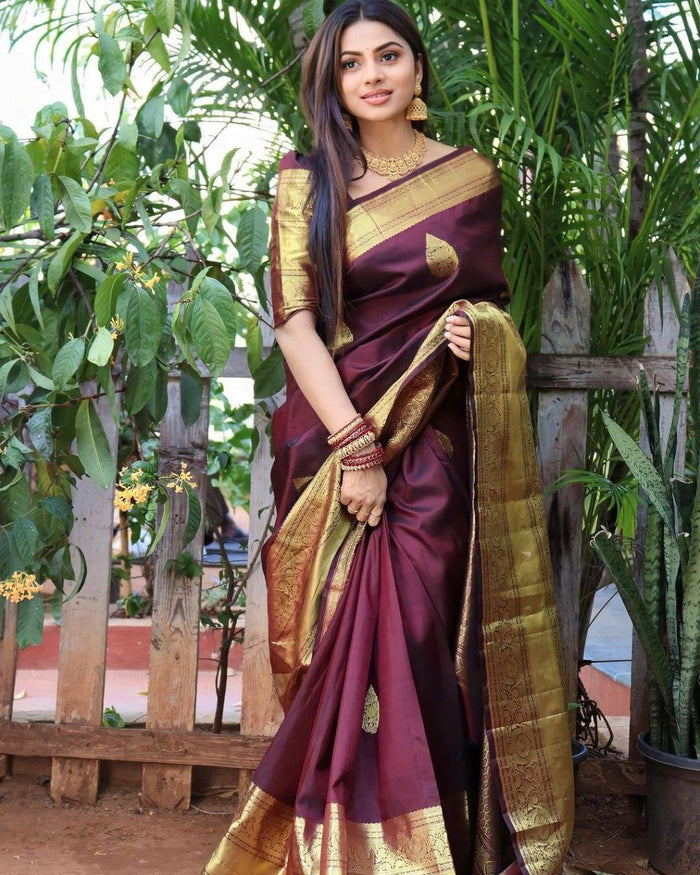 Wine Banarasi Soft Silk Saree