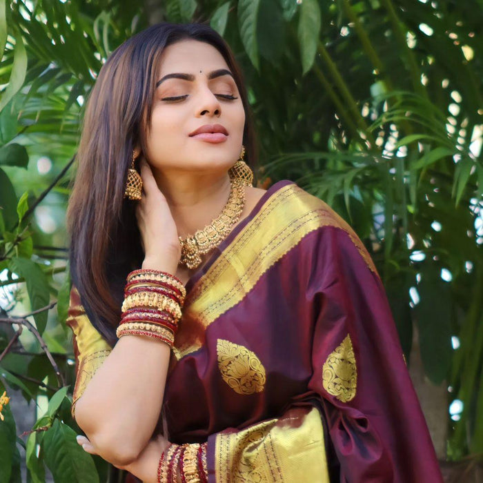Wine Banarasi Soft Silk Saree