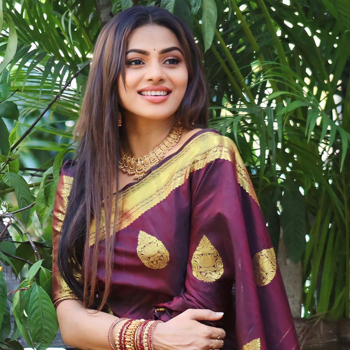 Wine Banarasi Soft Silk Saree