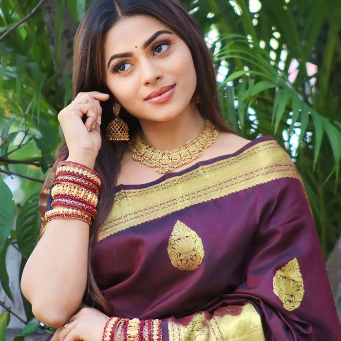 Wine Banarasi Soft Silk Saree
