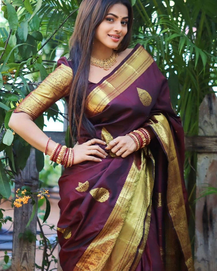Wine Banarasi Soft Silk Saree