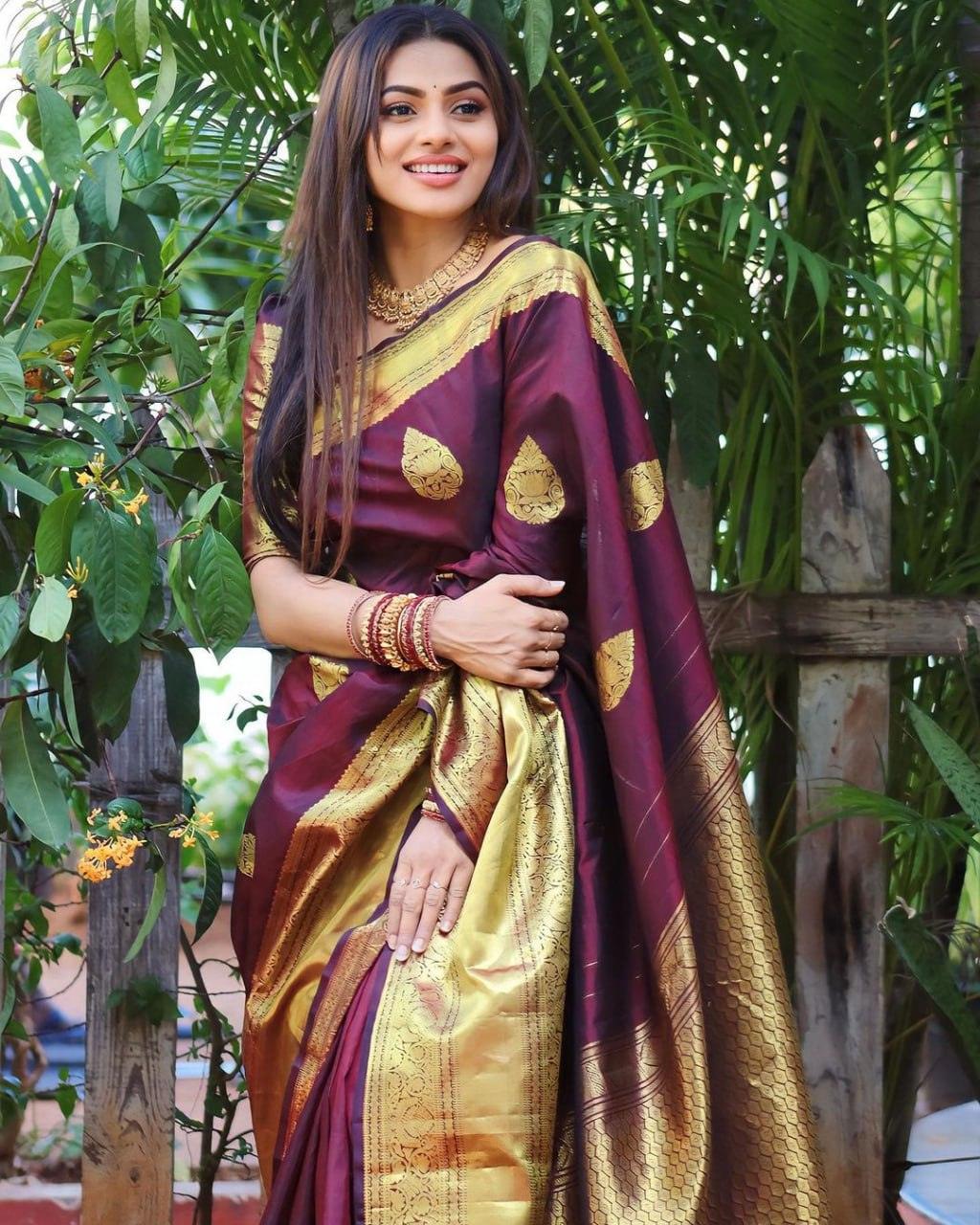 Wine Banarasi Soft Silk Saree - Ibis Fab