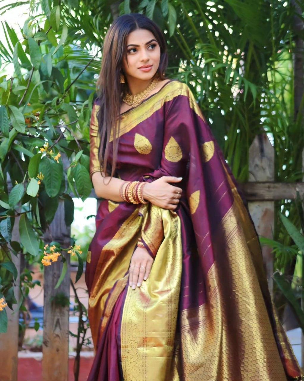 Wine Banarasi Soft Silk Saree - Ibis Fab