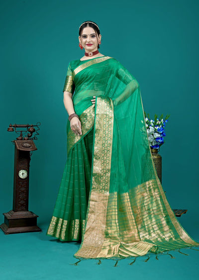 Organza Silk Saree With Attractive Rich Pallu Saree - Ibis Fab